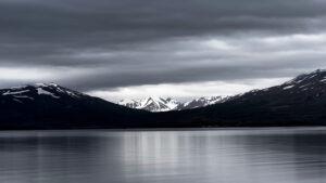 Why Law Firms Should Adopt AI?